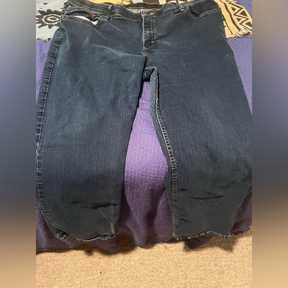 Straight leg size 22WP women’s Riders by Lee jeans